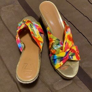Colorful wedges